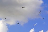 Полет на планере в Виннице