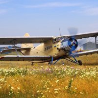 Політ на літаку Ан-2 в Одесі